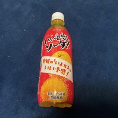 伊予名物（⁈）「いい予感しソーダ（いイヨカンしソーダ！）！」